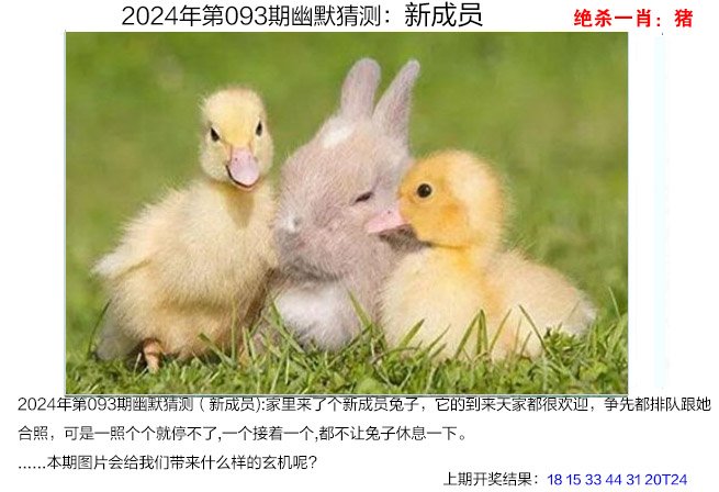 新奥六开彩开奖结果2024,数据整合方案实施_投资版121,127.13