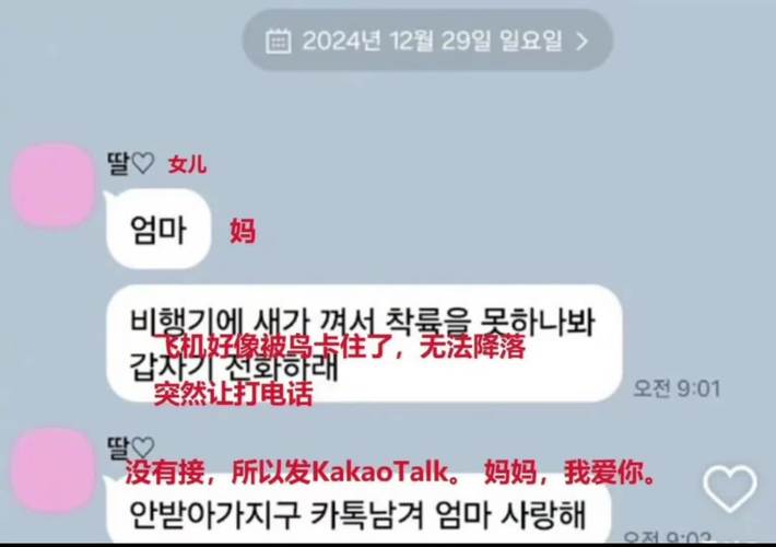 2025澳门天天开好彩免费和韩国坠机致4人遇难与韩国坠机事件