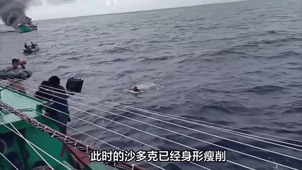 2025新澳门天天开奖免费和男子海上漂流7小时与男子海上漂流7小时视频