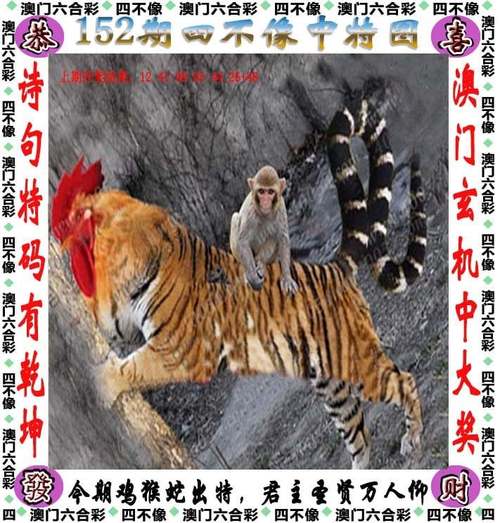 2025澳门天天开好彩大全回顾和公交站椅子仅手机高与公交站台椅子
