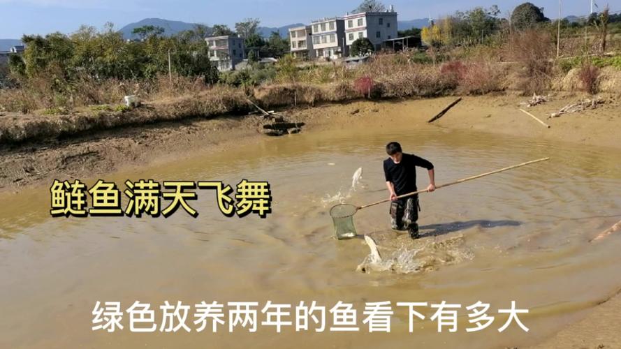 澳门开奖结果+开奖记录表生肖和把西瓜扔鱼塘喂鱼与把西瓜扔鱼塘喂鱼好吗