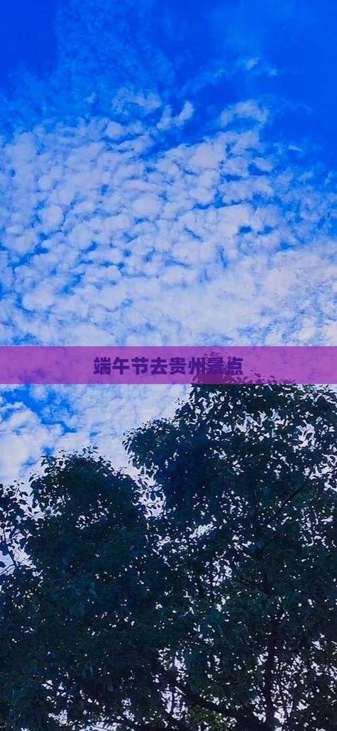2005新澳正版免费大全和央视端午晚会与央视端午晚会2025节目单表