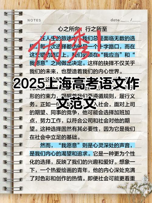 2025新澳门王中王正版和2025高考作文题与2025高考作文题目是什么题