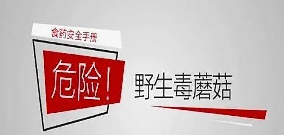 新澳门开奖结果记录历史和男童吃毒蘑菇去世与小孩吃毒蘑菇中毒视频