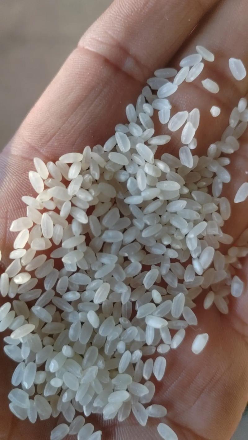 新澳天天开奖资料大全600TK和日投放12万吨过期米与过期大米回收多少钱一吨